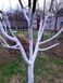 Краска садовая UNISIL WHITE WOOD, TM "Unisil", 3,5 кг