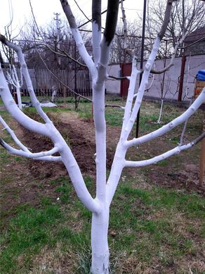 Купити Фарба для садових дерев UniSil WHITE WOOD 14 кг